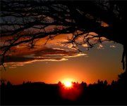 La notte era bella quella sera