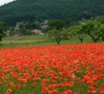 Del tempo imperfetto tutti i colori