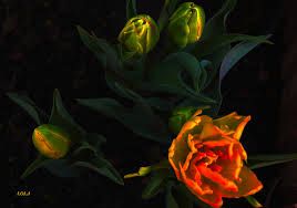 Alla fine di questa notte