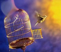 Ho visto la libert�