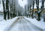 Sui viali di quest'inverno gelato