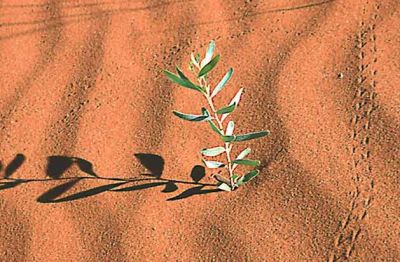 Il coraggio come bagaglio