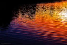 La ragazza conosce il sentiero