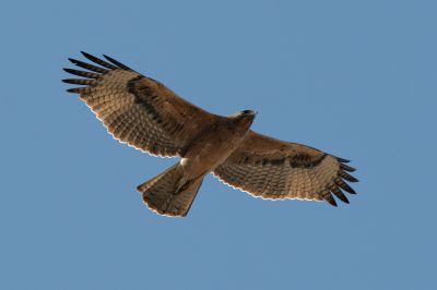 La poesia ci salver� (prima esperienza)