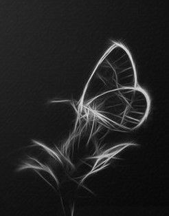 Sillabe confidenziali (la farfalla)