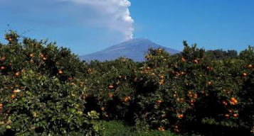 Quarto segno visibile (aranceti)