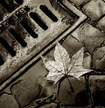 Il tramonto dell'estate