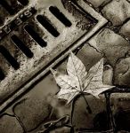 Il tramonto dell'estate