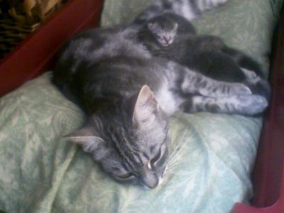 Perché nasca un fiore nel mio giardino