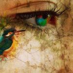 Nei tuoi occhi mi specchio le ali