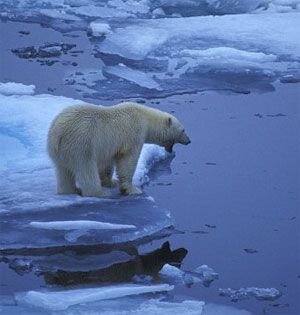 La quiete dei ghiacciai