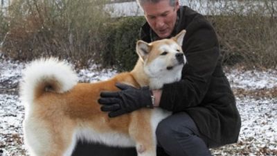 Nelle notti di pioggia