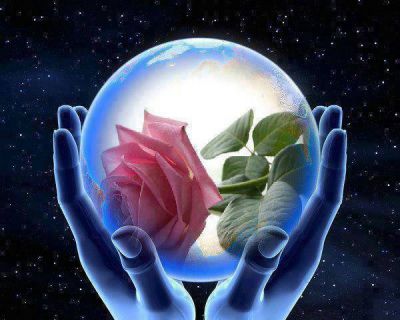 Per un giorno farfalla