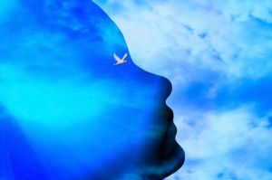 Nelle distese celesti