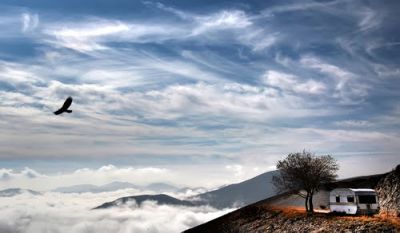 Inquilino equilibrio