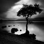 Bagliori di solitudine