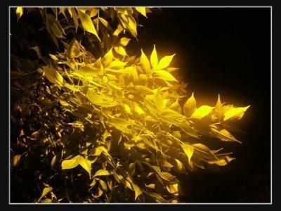 Scrivere nell'attesa