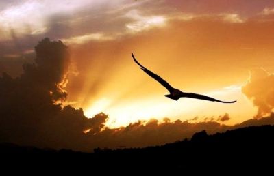 Nella mente nel cuore nei sogni