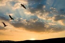 Il muretto dei ricordi