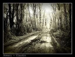 Immagini del passato