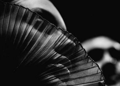 Nel ventaglio della notte