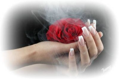 Fievole il Tuo cuore