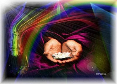 Vita sorgente magnifica