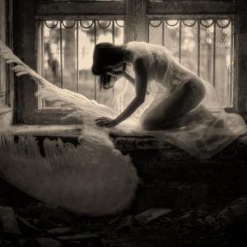 Spine confondono Ali