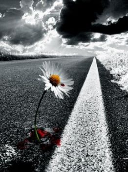 La pace nelle mani del mondo