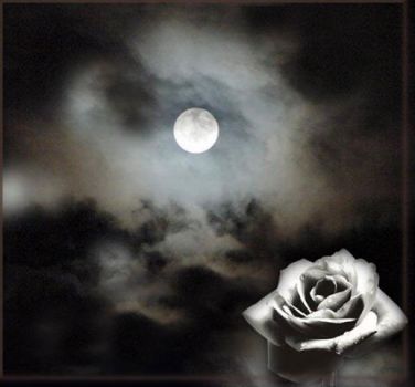 Amami in quel filo d'eterno