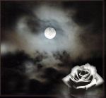 Amami in quel filo d'eterno