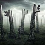 Balaustra dopo la nebbia