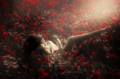 Perder� la ragione