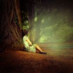 Di quest'assolo che sbircia furtivo