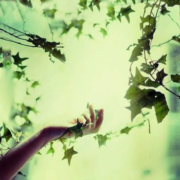 Raccogli la mia luce - amore