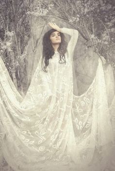 Basta l'eterna poesia