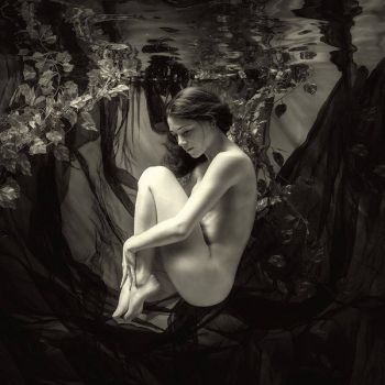 Porter� il silenzio