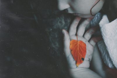 Voli di foglie come farfalle