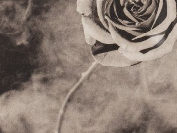 Dove ho perso elevo le mani