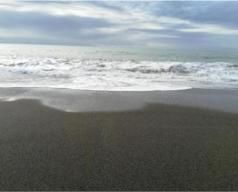 Metamorfosi sulla spiaggia