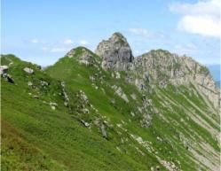 Profanazione della giovent�