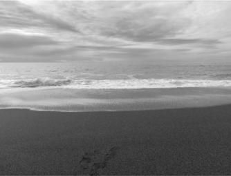 Tanto per verseggiare con amore in riva al mare