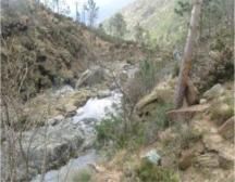 Essenza o Essenzialit�