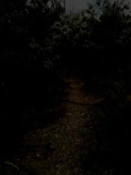 Assolo introspettivo