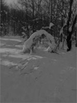 Quel grigiore che opprime