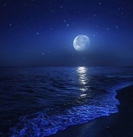 Ricordo di una buona notte