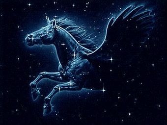 Pegaso (costellazione)
