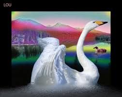 Il brutto anatroccolo (sonetto minore)