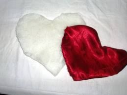 Vincitori d�Amor e d�Amor vinti