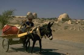 Il Carrettiere di Monacizzo